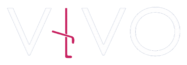 Vivo Soluções Financeiras